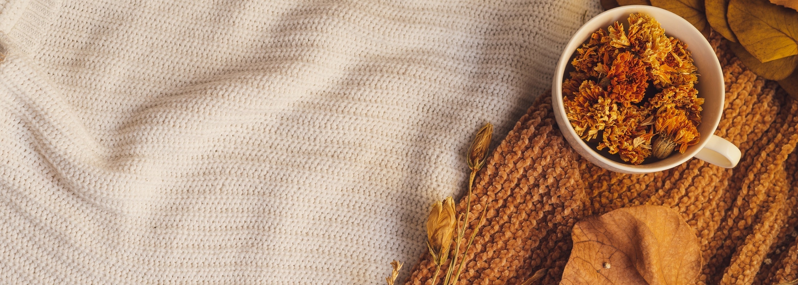 Herbstliche Wohlfühlzeit - so machst du dein Zuhause und deinen Garten fit für die kühlere Jahreszeit