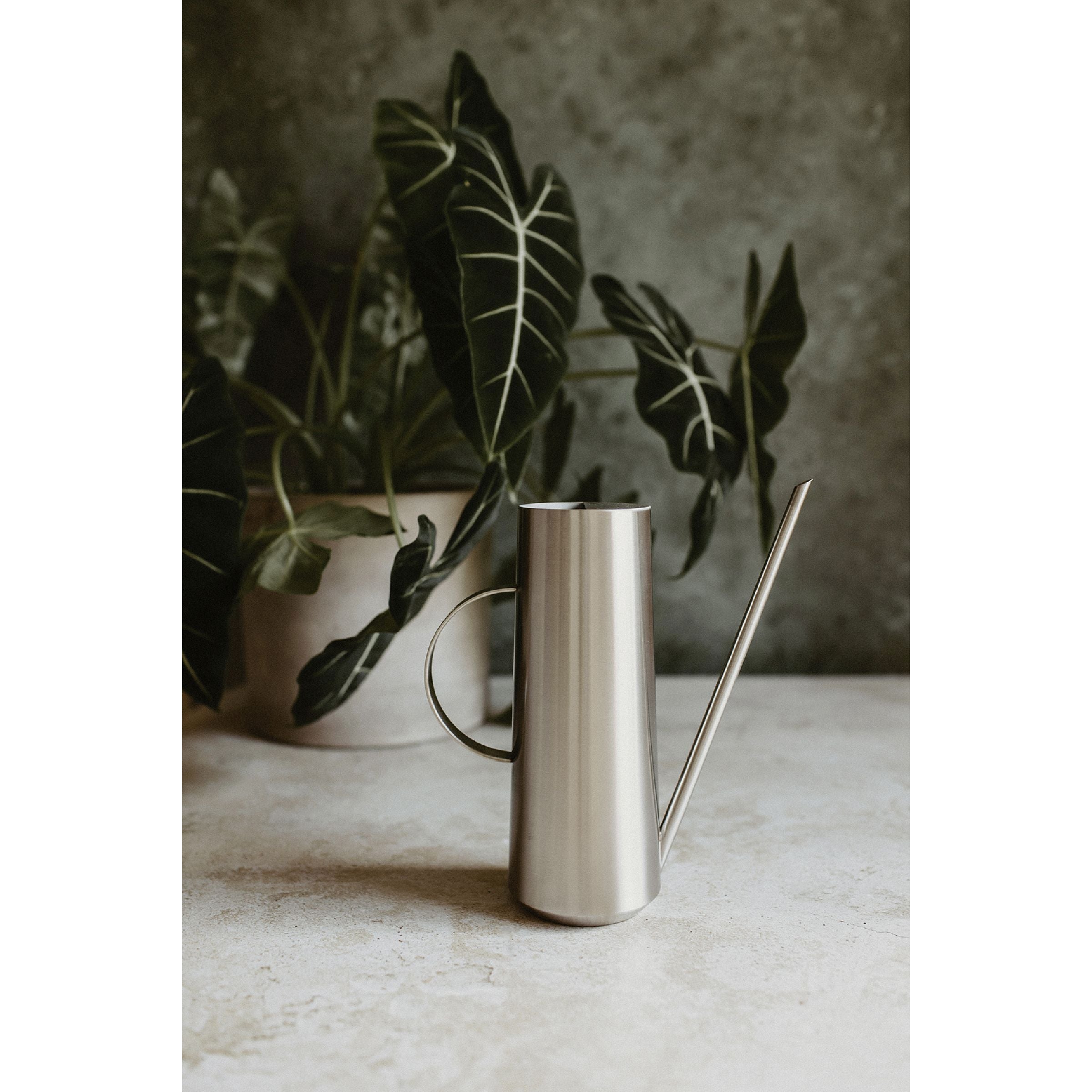 ZACK VERGIO Gießkanne