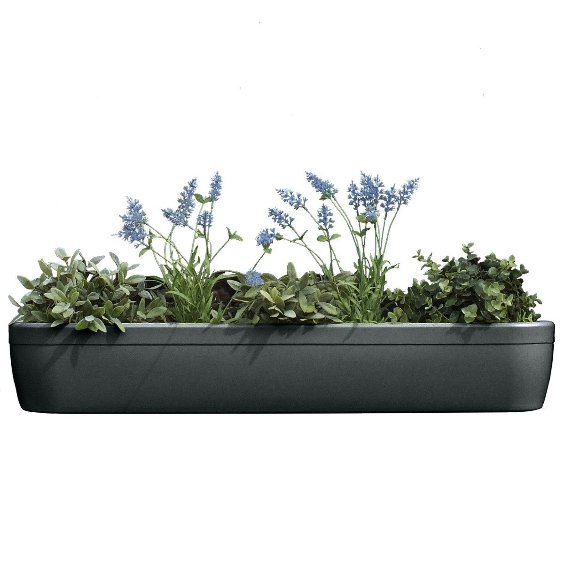 rephorm blumenkasten rephorm windowgreen Blumenkasten