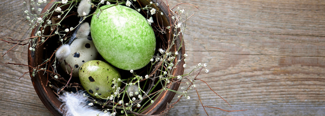 Natürliche Osterdekoration – Nachhaltig und stilvoll feiern - AMBIENDO