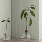 blomus AVO Vase