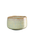 ASA 10090454-morinana-ishi.png