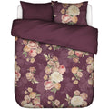 532699