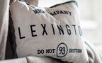 VI 10611_a13aec18a2-hotel-do-not-disturb-sham-beige.jpg