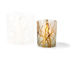 VI 141030_FOREST_Windlicht_S.jpg