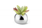 VI 202004_BELLA_Vase_deco_RGB_640x450.jpg