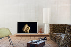 VI 2223_Tv_Furniture_HKliving_LR_002.JPG