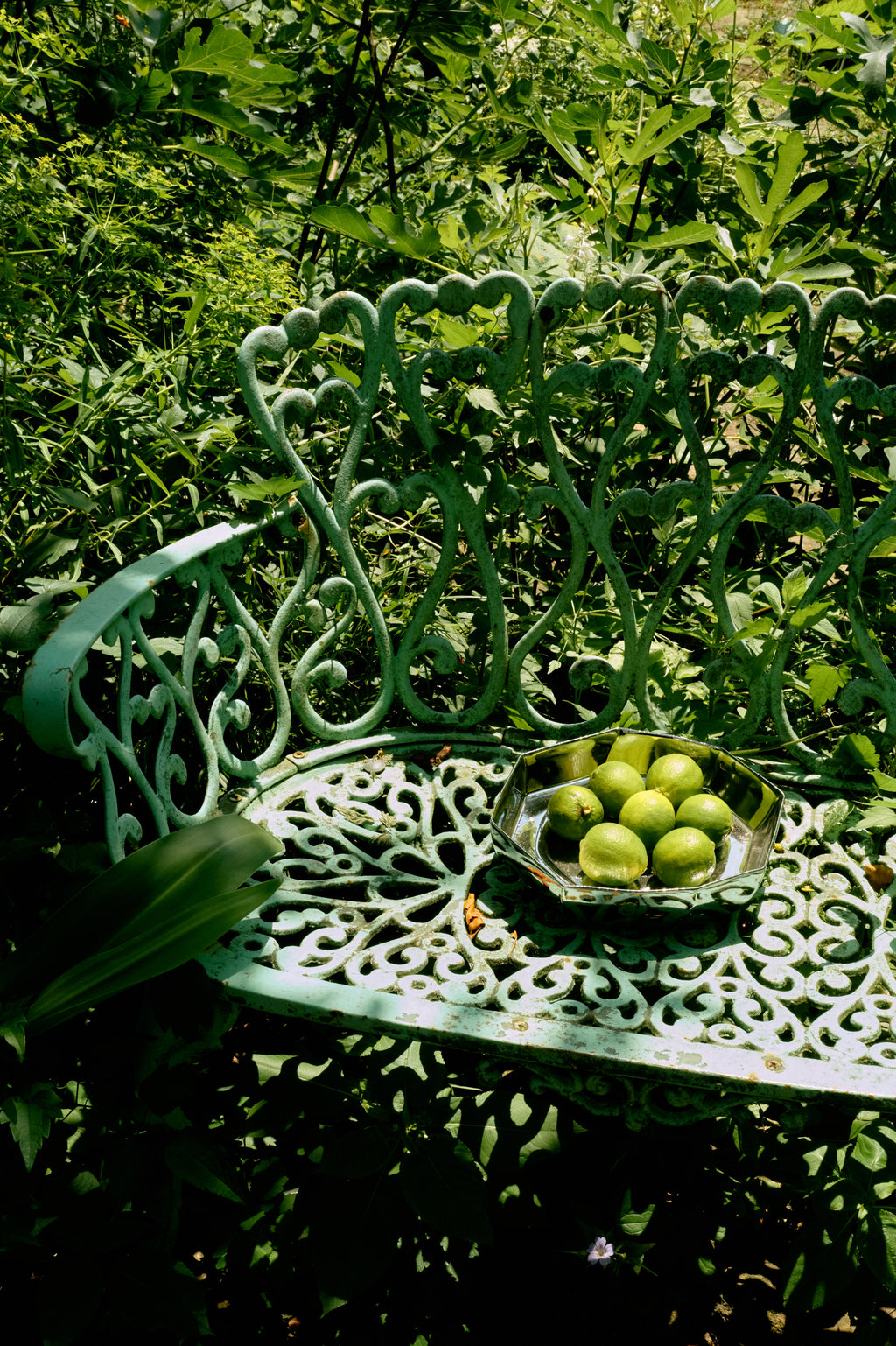 VI 2526_Collection_HKLIVING_Shoot_1_LR_440.jpg