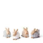 Philippi Emily Hase