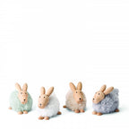Philippi Emily Hase