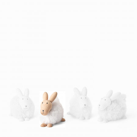 Philippi Emily Hase