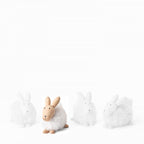 Philippi Emily Hase