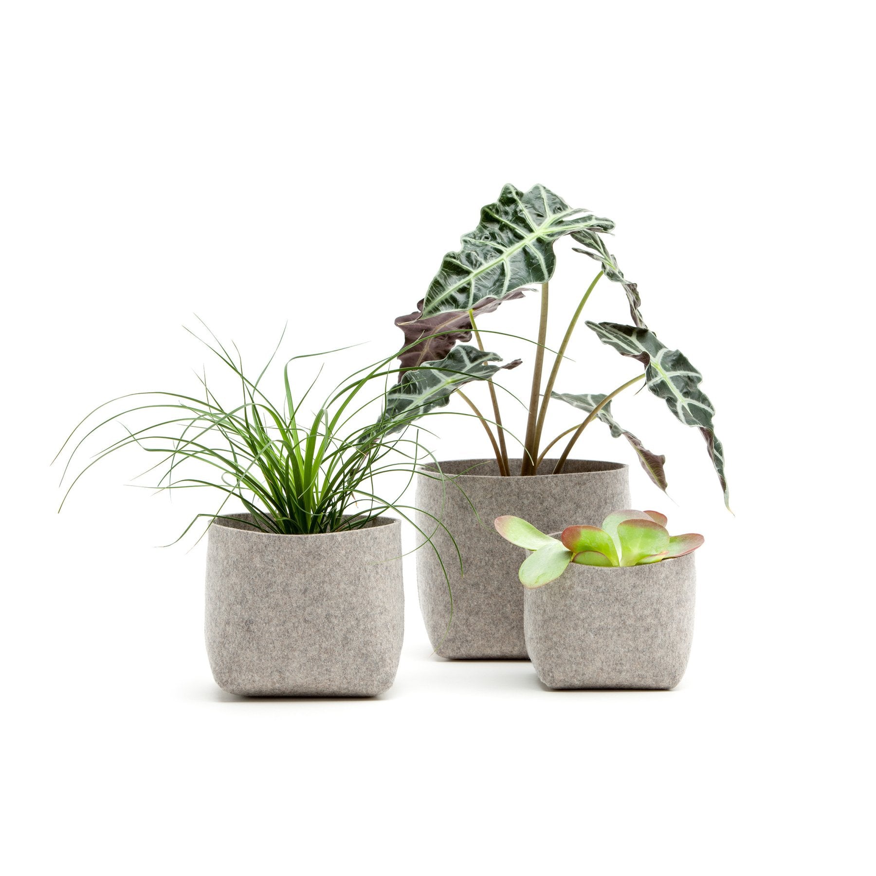 326105