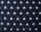 VI 4232_f4a9c2e080-6420_2.jpg