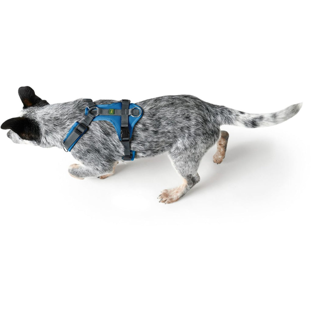 493974