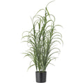 526966