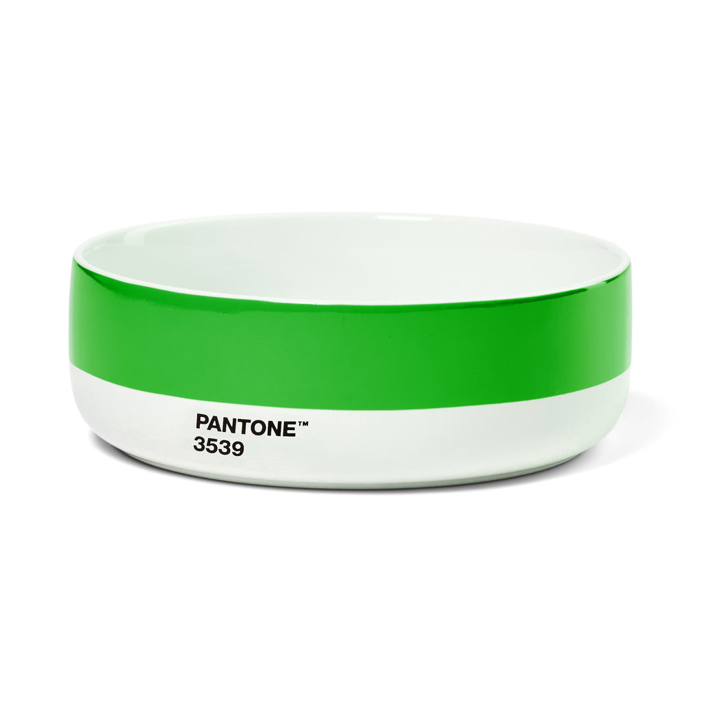 Pantone Porzellan Schale 6er Set