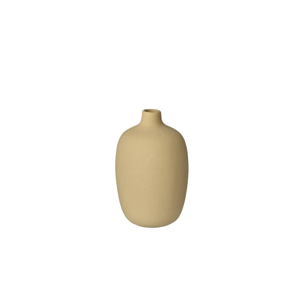 VI 64813_CEOLA-overlay-jpg.jpg