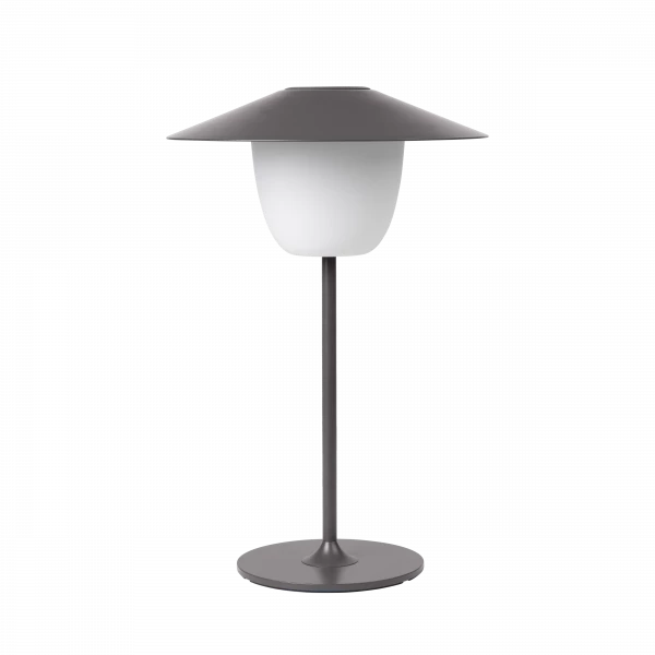 VI 66067_1-medium.webp
