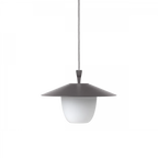 VI 66067_3-medium.webp