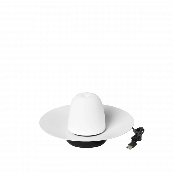 VI 66068_2B-medium.webp