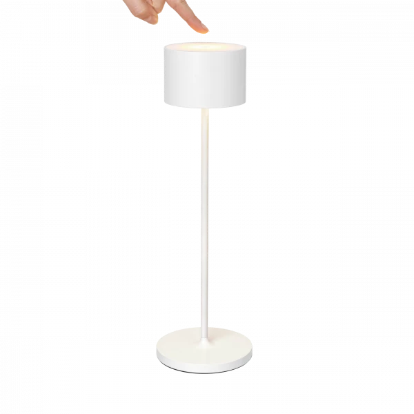 VI 66124_Light_4-medium.webp