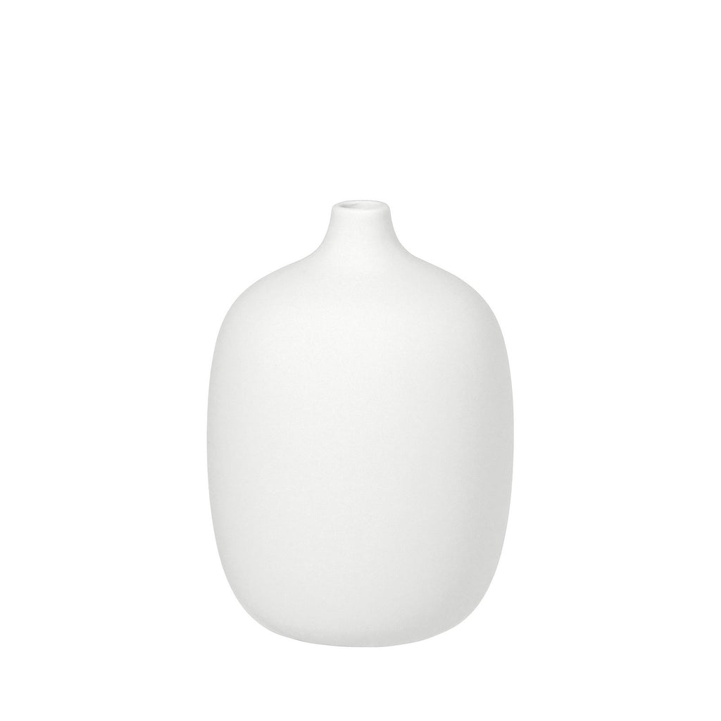 VI 66169-overlay-jpg.jpg