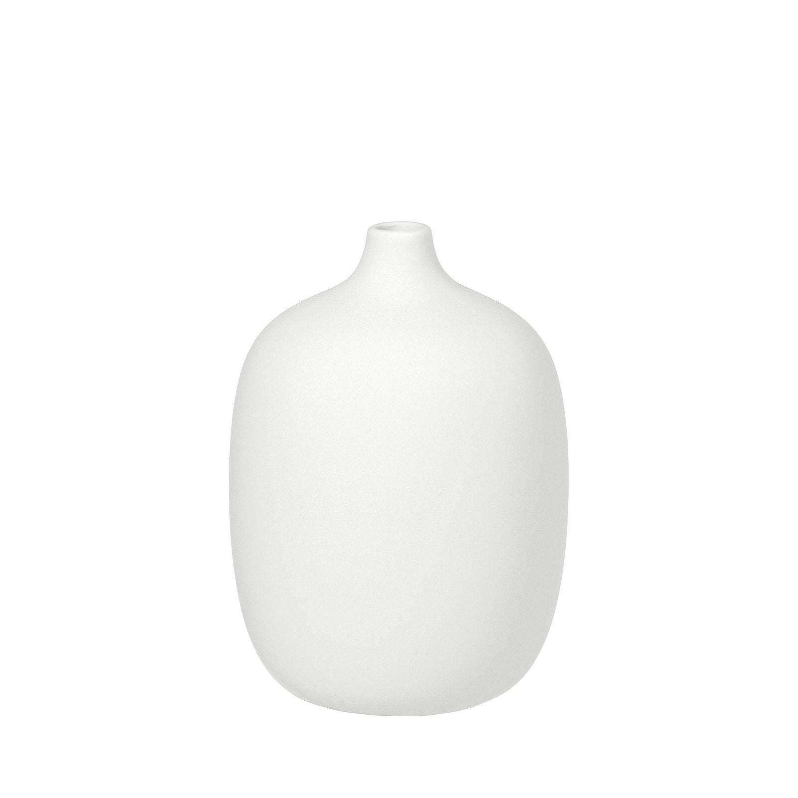 VI 66169-overlay-jpg.jpg