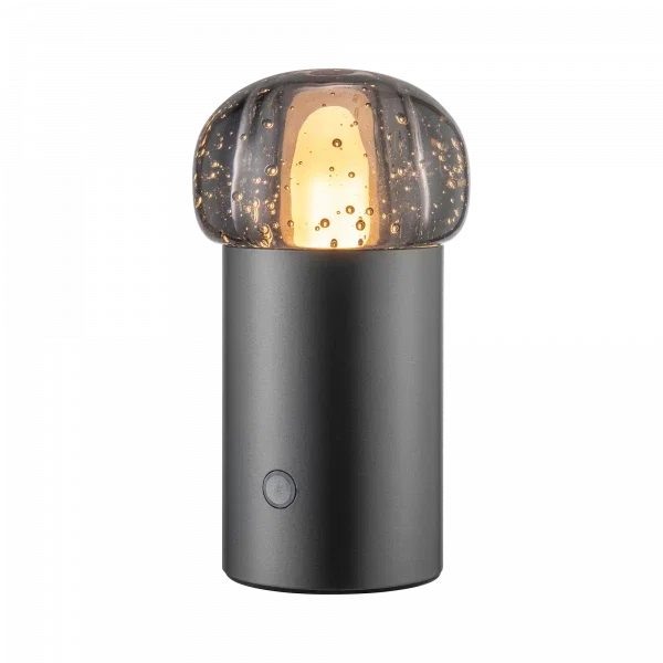 blomus IRIS Mobile LED-Leuchte – Glas & Aluminium, IP54
