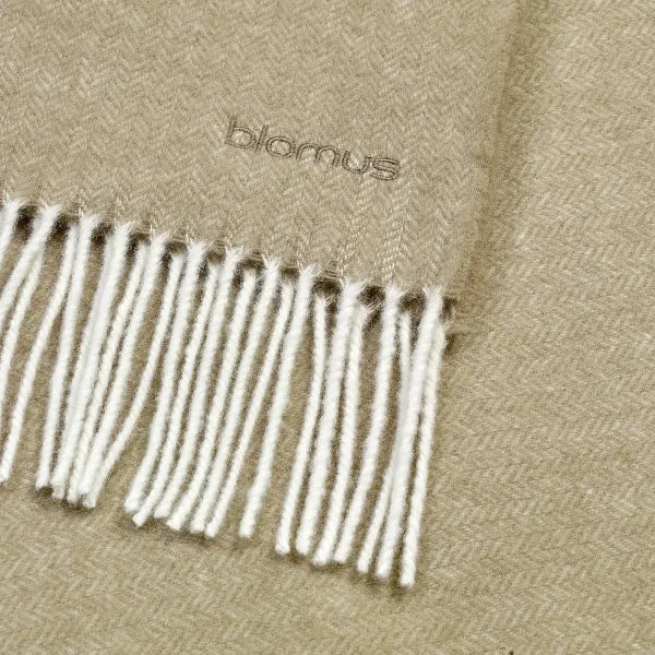 VI 68002_02-medium.webp