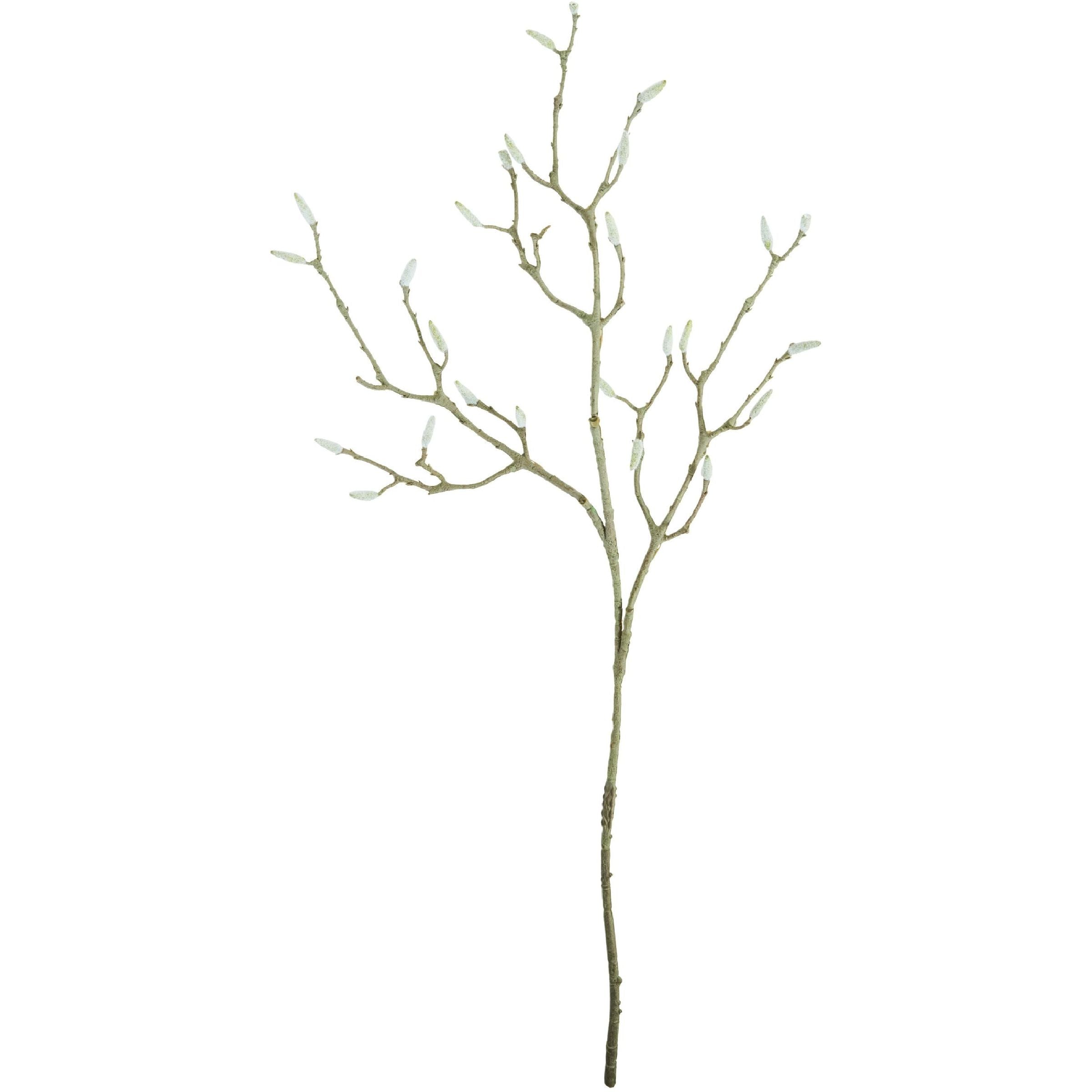 537886