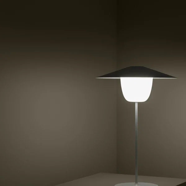 VI ANI-LAMP_10-medium.webp