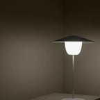VI ANI-LAMP_10-medium.webp