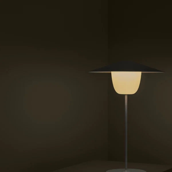 VI ANI-LAMP_11-medium.webp