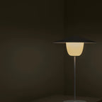 VI ANI-LAMP_11-medium.webp
