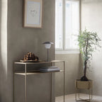 VI ANI-LAMP_3-medium.webp