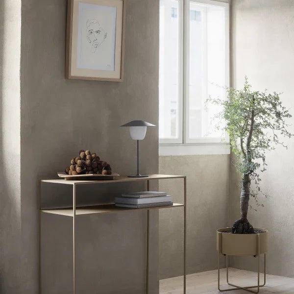 VI ANI-LAMP_3-medium.webp