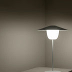VI ANI-LAMP_9-medium.webp