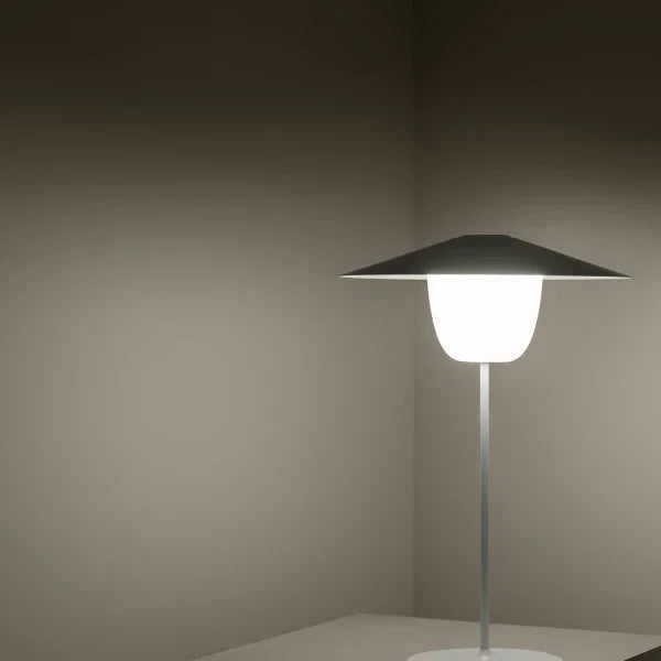 VI ANI-LAMP_9-medium.webp