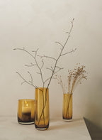 VI Ajana-Glas-Vasen-Amber_3da9397c-ad7f-4791-b9ca-01834b8eb52c.jpg