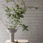 VI BLOMUS1839_66620_66691-medium.webp