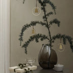 VI Blomus_Jul4362_66609_64492_66698_65966-medium.webp