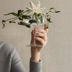 VI Blomus_jul_20251397_68059_64396-medium.webp