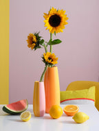 VI Ease-joy-vasen-passionfruit-orange-smoothie_17310d4f-e739-46c8-8cda-b54b568569f1.jpg