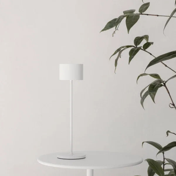 VI FAROL-medium.webp