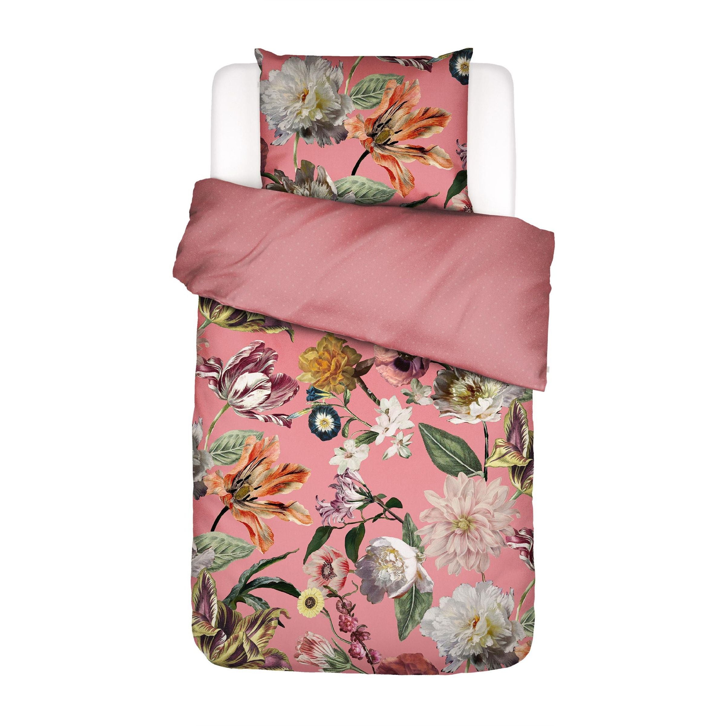 531623