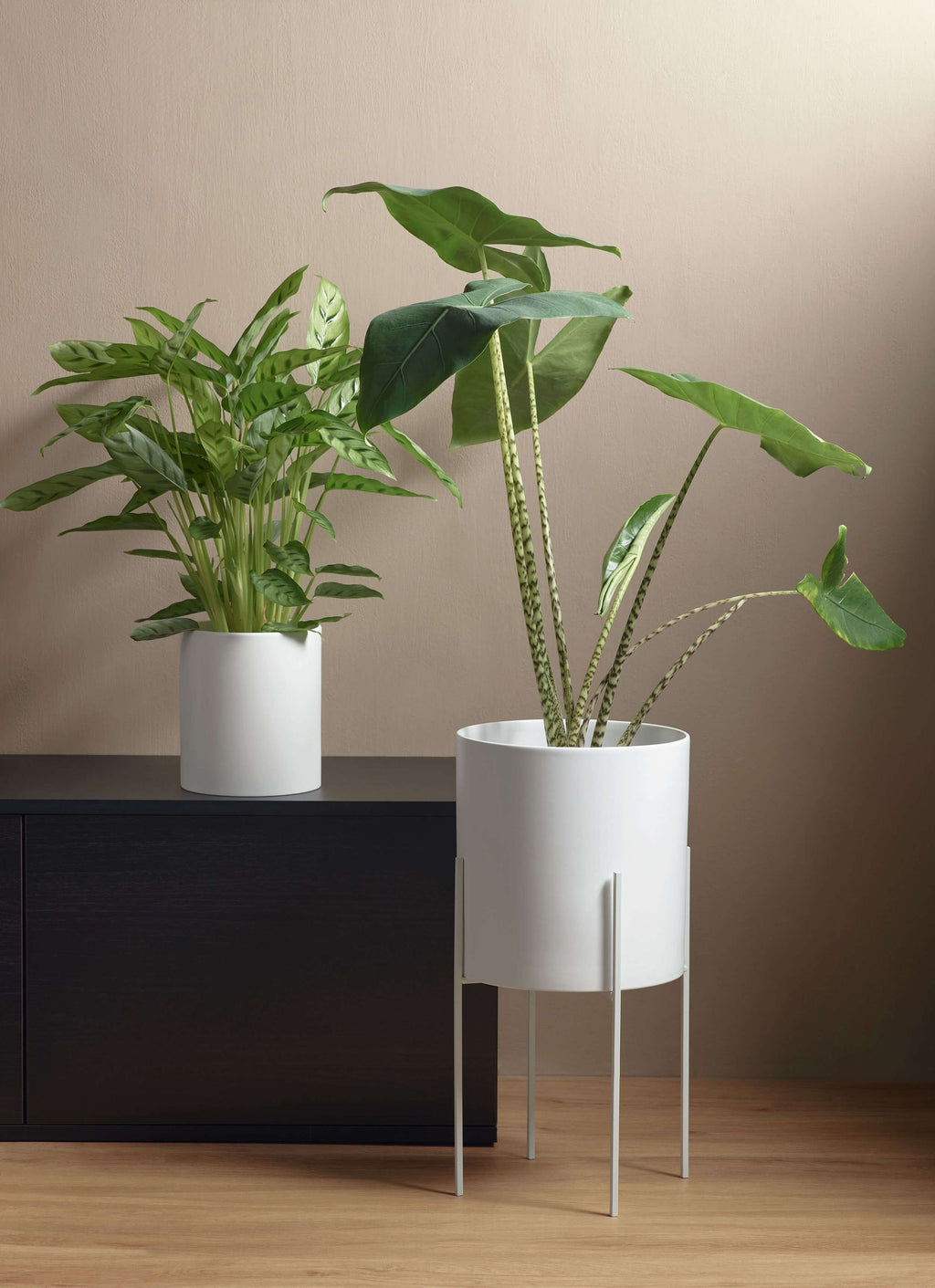 VI Haruko-white-sideboard.jpg
