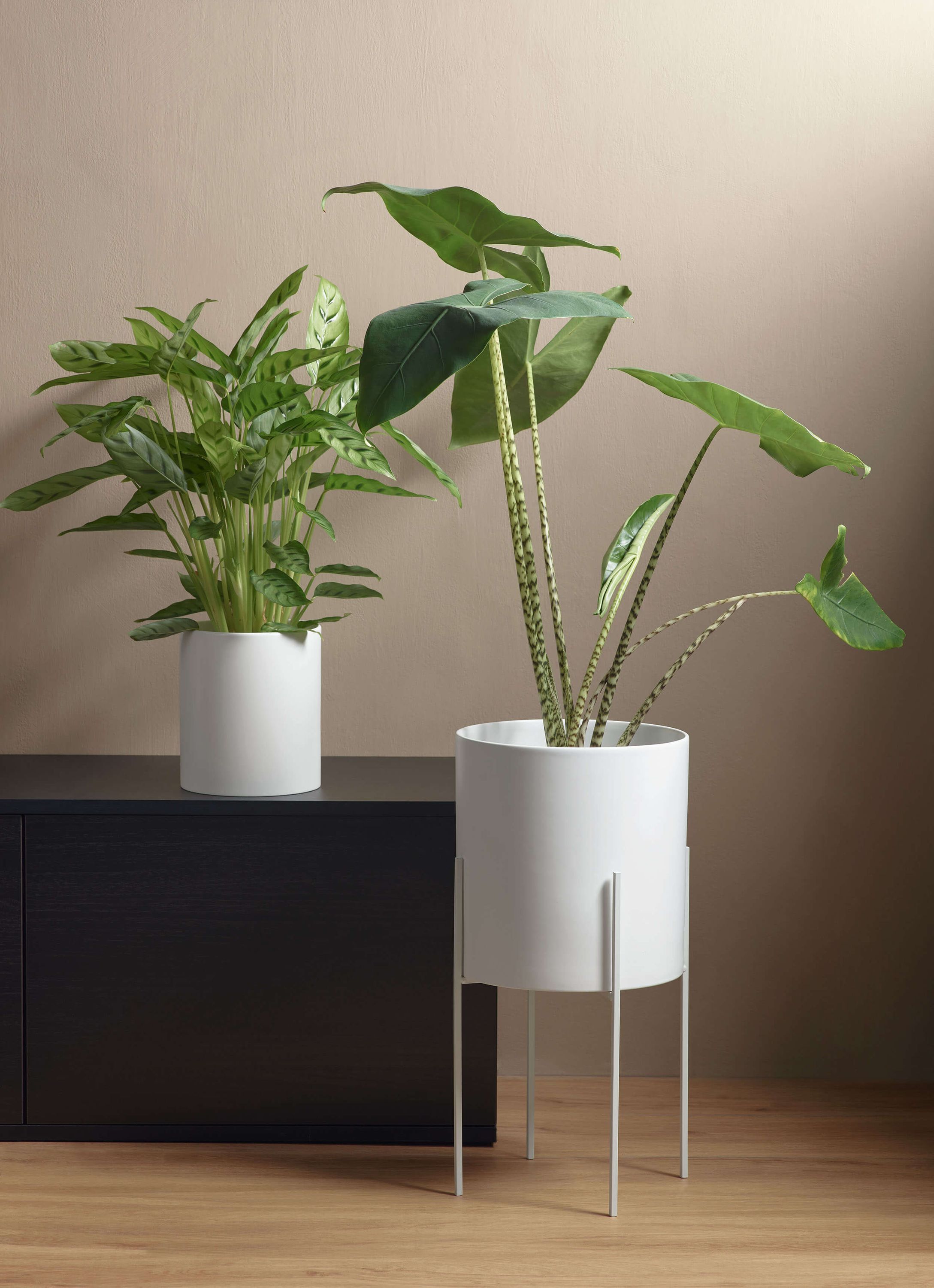 VI Haruko-white-sideboard.jpg