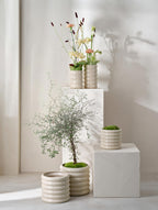 VI Loopy-summer-sand_b71aa517-1e01-40b9-82e1-a76d633db562.jpg