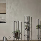 VI PLANTO_3-medium.webp